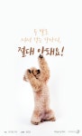 [펫카드] 강아지 두발로 서서 걷게 하지마세요