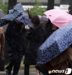 우산도 무용지물
