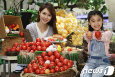 에그토마토로 맛도 영양도 잡으세요