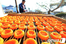 지리산 산청 곶감·딸기, 전국최고 품질 인정