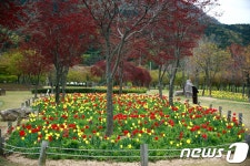 정읍시, 국도 1호선 교차로 4곳에 교통녹지대 조성 
