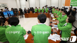 남북정상 악수에 일어나 박수치는 평화당