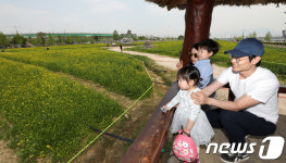 한강에서 유채꽃 향기 만끽해요