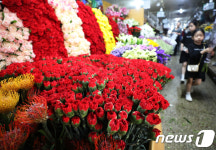 5월에는 카네이션을