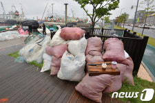 쓰레기로 몸살 앓는 포항 동빈내항