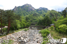 신록의 계절, 푸른 설악산