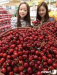 롯데마트,  미국 캘리포니아산 햇 체리 첫 선