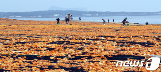 제주서 농촌살이 청년워킹홀리데이 모집