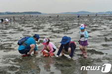 제철 바지락 맛 보세요…고창서 19~20일 바지락축제