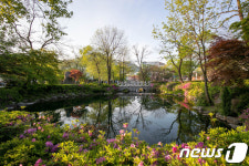 황지연못에 핀 연산홍