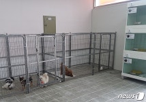 사지말고 입양하세요…신내동에 유기동물입양센터 문 열었다