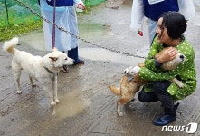 목줄 하나만 바꿔줘도 개와 사람 모두 행복