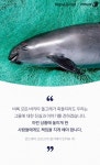 [펫카드] 지구상 12마리 남은 바다의 판다 바키타돌고래