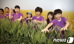 농촌진흥청, 우리밀 특별전시회 개최