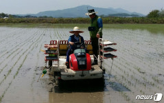 [김포소식]김포시, 태양광 설치비 최대 90만원 지원