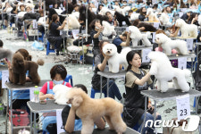 최고 실력의 애견미용사는 누구?