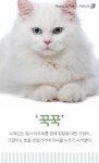 [펫카드]집사 위한 마사지? 꾹꾹이 하는 고양이