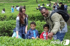 보성 다향대축제 즐기는 외국인들