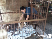 [화보]식용견 구조 나선 리처드 용재 오닐 참혹한 심정