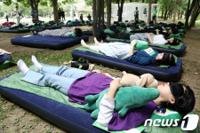 청춘, 숲속에서 낮잠