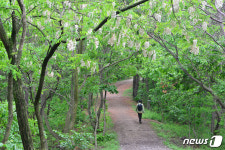 싱그러운 풀내음 맡아볼까…초여름에 걷기 좋은길