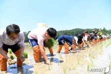 충남대, 지역민과 함께하는 전통 모내기 체험 행사 개최 