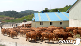 가자 푸른 풀밭으로