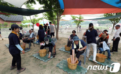 그늘막에서 창포물에 족욕하니 이게 피서 