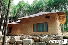 장흥 편백숲 우드랜드에 알콩달콩 신혼방 개장