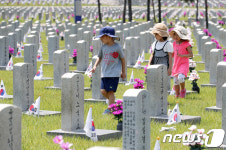 6·25 전쟁 참전자 묘역 살펴보는 어린이들