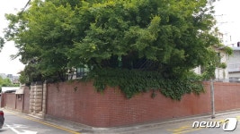 동교동·상도동 이어 JP 청구동 자택도 역사속으로