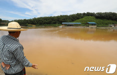 저수지 아니고 논입니다