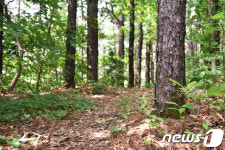 여름휴가 어디로?…관광공사 7월 걷기 좋은 6길 선정
