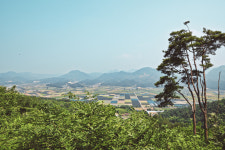 천연 에어컨 바람 뿜뿜…7월에 걷기 좋은 길