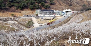 괴산 미선향테마파크 보완공사 특정업체 밀어주기 ‘논란’