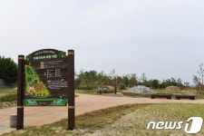영주 아지동 매립장, 조류 서식처로 재탄생