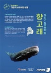 소설 모비딕 주인공 향고래...해수부, 7월 보호해양생물로 선정