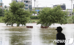 밤사이 내린 비로 불어난 하천