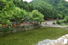 횡성 병지방 자연 속 선바위자연캠핑장 6일 개장