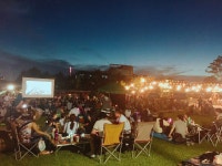 여름방학 자연체험 공원 가볼까…서울시 133개 프로그램