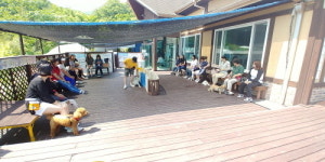 취업난? 나는 ‘펫시터’로 돌파한다