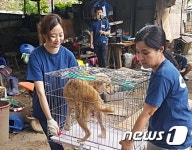 식용견 구조나선 김효진 개농장 폐쇄 기뻐…불필요한 살생 막아야