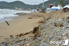 월포갯벌맛김 | 자갈 밀려든 월포해수욕장