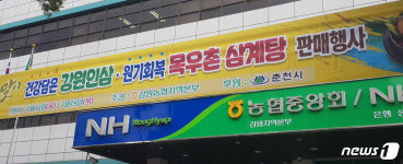 복날 맞이…강원 인삼·목우촌 삼계탕 특판 행사   