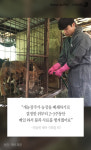 [펫카드] 남양주 개농장 200마리 개들 세상밖으로