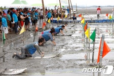 보성군 28일 다섯번째 벌교 갯벌 레저 뻘배대회 개최