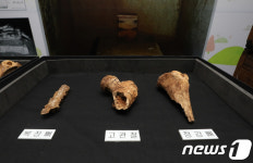 익산 쌍릉 인골, 백제 무왕 가능성 크다