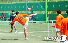전주 아중체련공원 축구장·족구장 잔디 새 단장