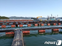 경남도, 연일 계속된 폭염에 양식장 관리 비상