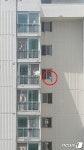 [펫톡톡] 13층 아파트 난간에 앉아있는 고양이 